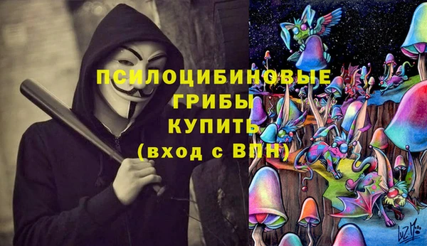 спайс Надым